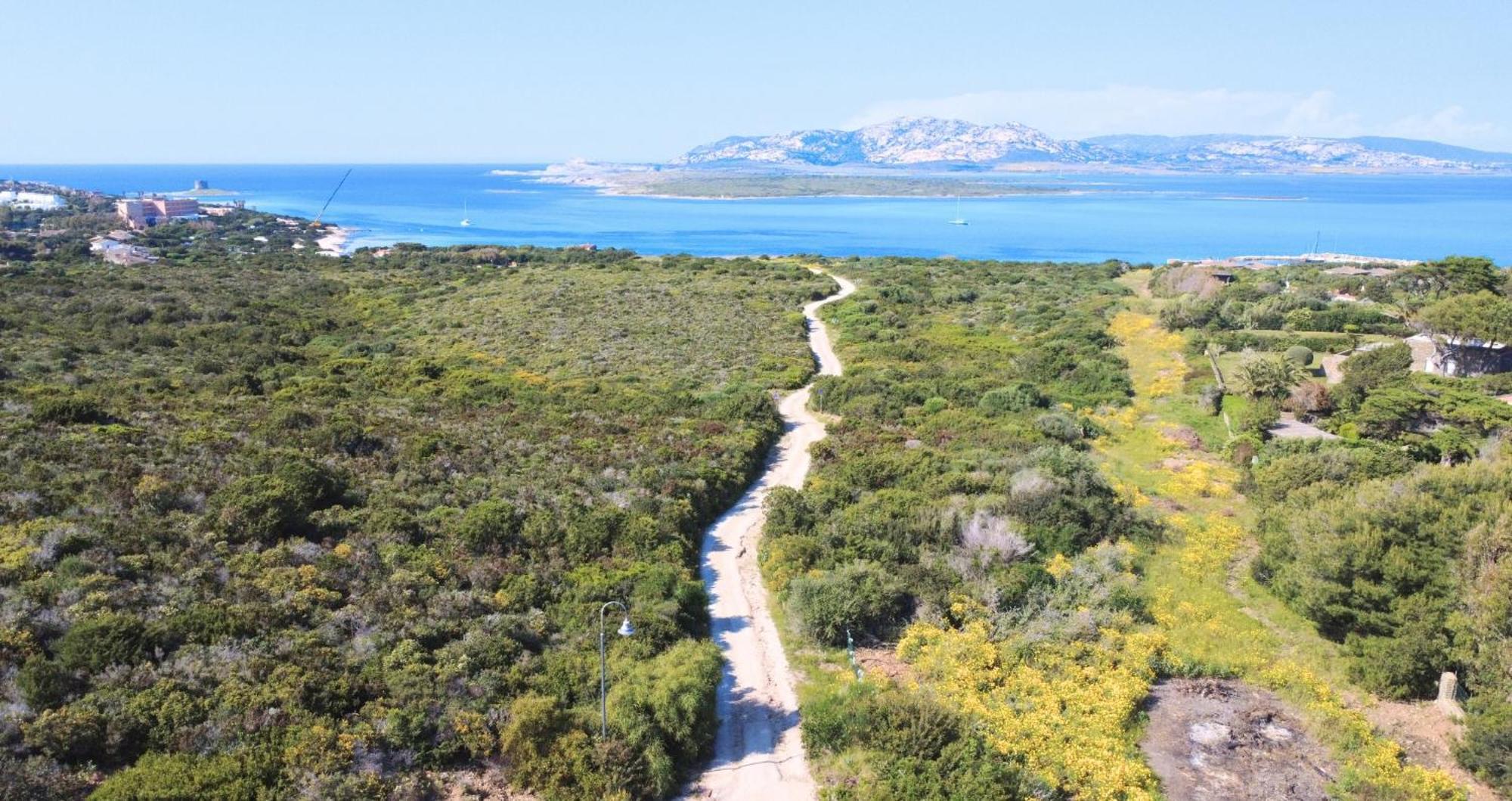 Panorama Sul Mare Βίλα Stintino Εξωτερικό φωτογραφία